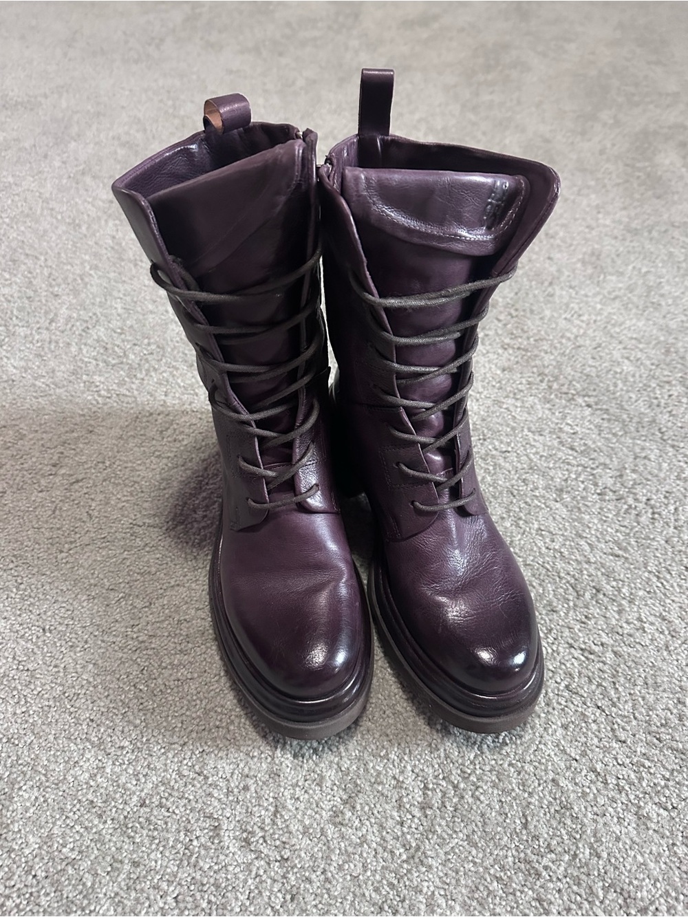 A.S.98 eggplant Elvin
